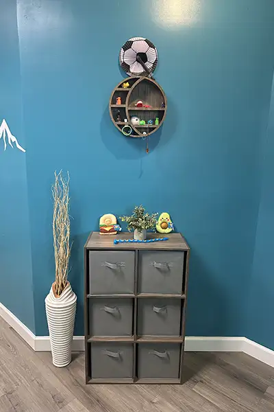 Toy collection at NC Pediatric Dentistry's Advance Pediatric Dentistry location.