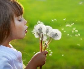 Girl with a dandelion having fun in the summertime.